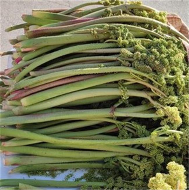 یک خوراکی خوشمزه برای سلامتی کبد