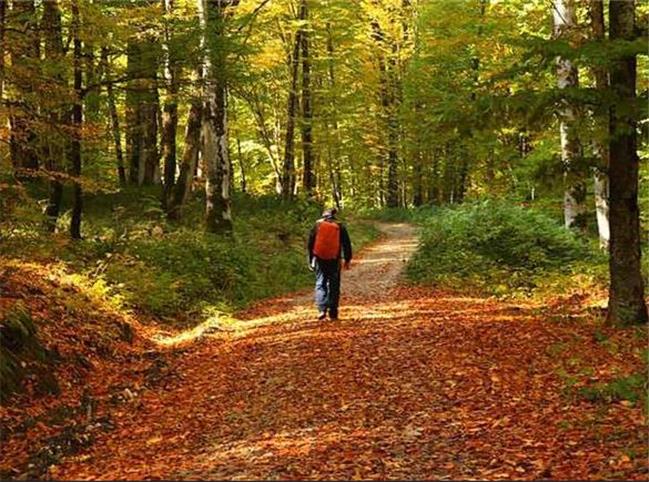 کدام مناطق برای سفر پاییزی دیدنی تر هستند؟