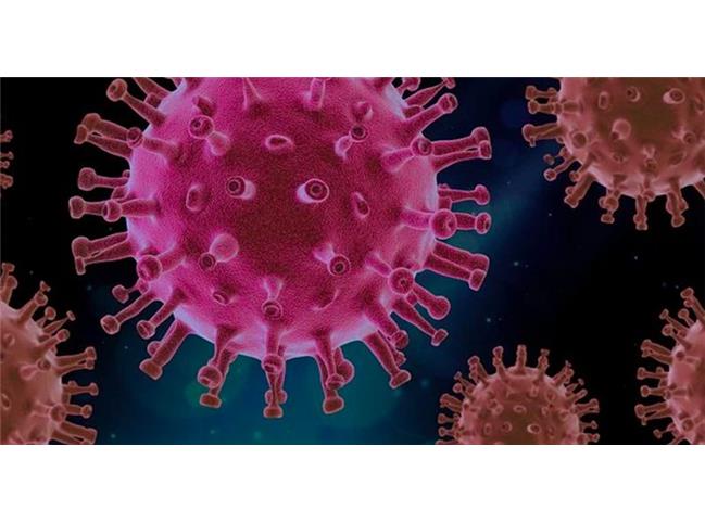 نگران جهش یافتن ویروس کرونا نباشید+ علت