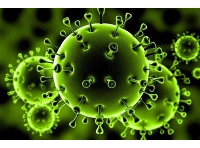ویروس کرونای هیبرید هندی _کالیفرنیایی  چیست