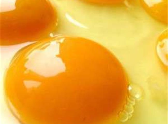 چرا زرده بعضی تخم مرغ‌ها کم رنگ است