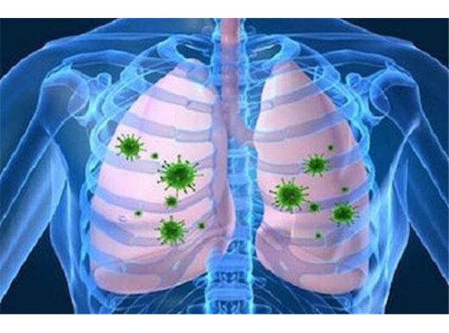 سه روش طبیعی برای پاکسازی ریه‌ها