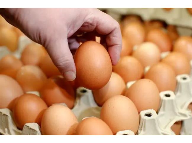تاثیر خوردن هرروزه تخم مرغ بر بدن چیست