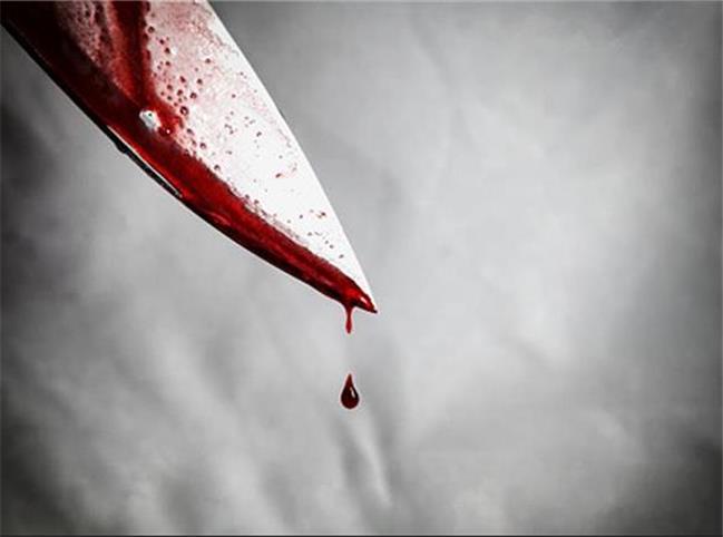 بازی والیبال در پارک به خون کشیده شد
