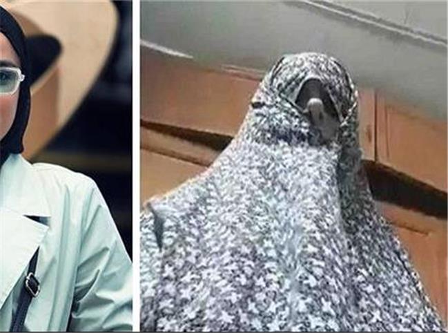 اعلام جرم علیه هتاک فضای مجازی به شاهنامه فردوسی