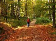 کدام مناطق برای سفر پاییزی دیدنی تر هستند؟