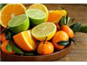 آنتی بیوتیک های طبیعی و بدون عارضه کدامند