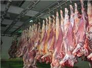 مصرف زیاد گوشت چه ضررهایی دارد