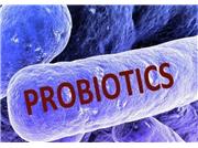 پروبیوتیک چیست و در چه مواد طبیعی پیدا می شود