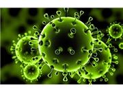 خبر بد محققان درباره ویروس کرونا