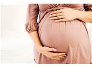مراقبت در دوران بارداری پوکی استخوان را مهار می کند