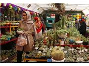 پیشنهاد ۴ نقطه جدید برای ایجاد بازار گل در تهران