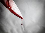 بازی والیبال در پارک به خون کشیده شد