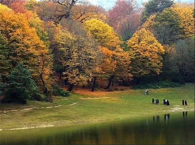 جنگل النگدره