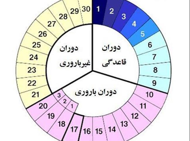 زمان تخمک گذاری