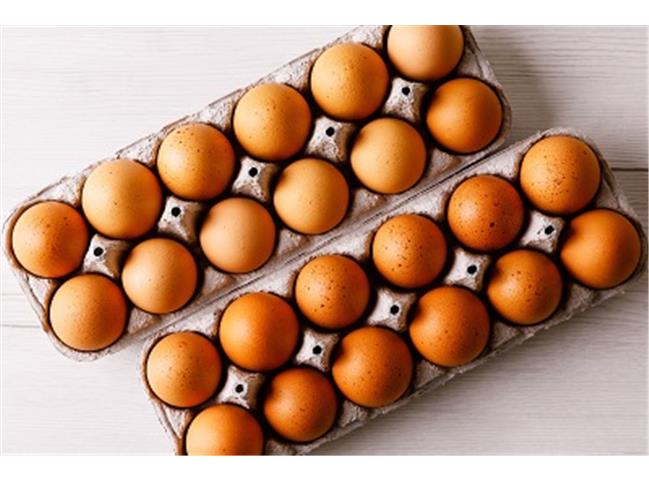 تخم مرغ امگا 3 بدن شما را تامین می کند