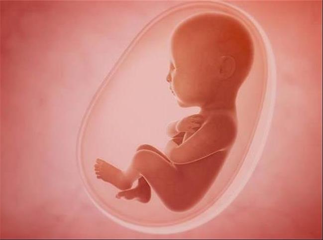 آیا کاهش جمعیت با طرح غربالگری جنین در ارتباط است
