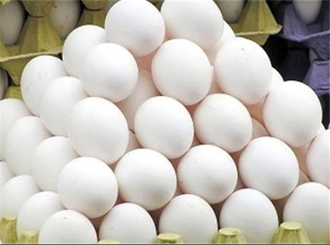 تخم مرغ باعث کاهش استرس می شود