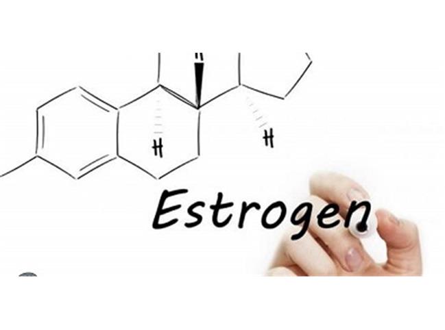 استروژن بالا چه علائم و درمان‌هایی دارد