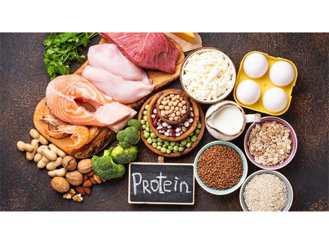 کودکان به چه مقدار پروتئین‌ نیاز دارند؟