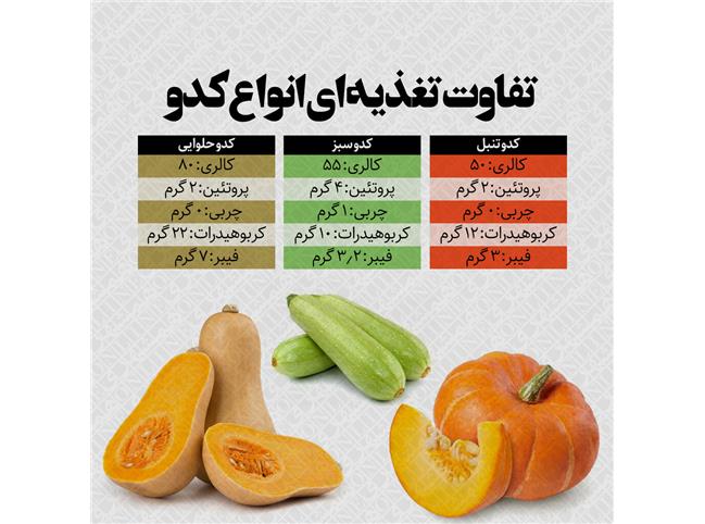 اینفوگرافی خواص کدو